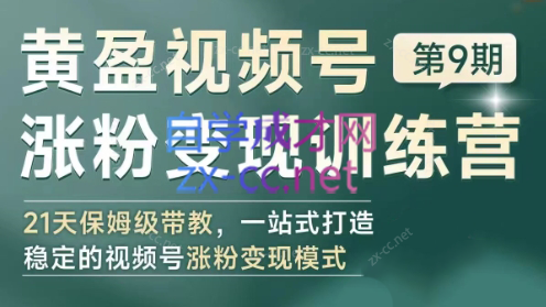 黄盈·视频号涨粉变现训练营-秋鱼网创
