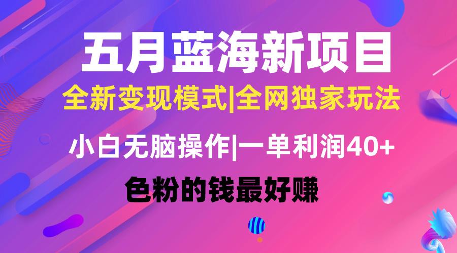 五月蓝海项目全新玩法，小白无脑操作，一天几分钟，矩阵操作，月入4万+-秋鱼网创