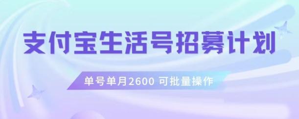 支付宝生活号作者招募计划，单号单月2600，可批量去做，工作室一人一个月轻松1w+【揭秘】-秋鱼网创