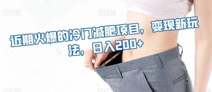 近期火爆的冷门减肥项目，变现新玩法，日入200+-秋鱼网创