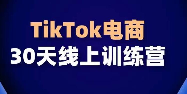 TikTok电商带货30天线上课，不可错过的全球流量洼地！-秋鱼网创