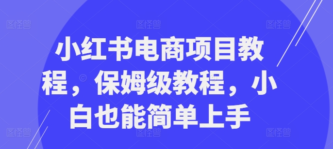 小红书电商项目教程，保姆级教程，小白也能简单上手-秋鱼网创