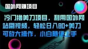 冷门撸美刀项目，利用国外网站刷视频，轻松日入80+美刀，可放大操作，小白随便上手-秋鱼网创