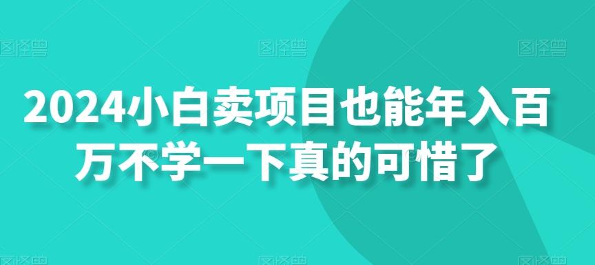 2024小白卖项目也能年入百万不学一下真的可惜了-秋鱼网创