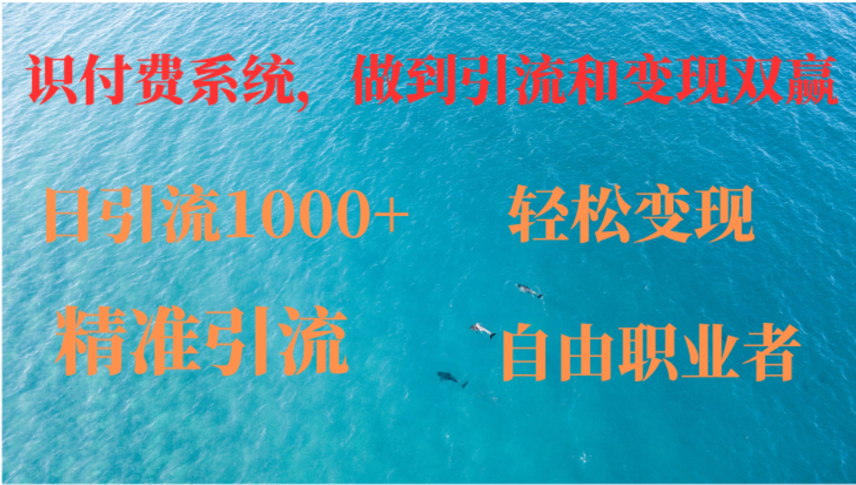 如何搭建自己的知识付费系统，做到引流和变现双赢-秋鱼网创