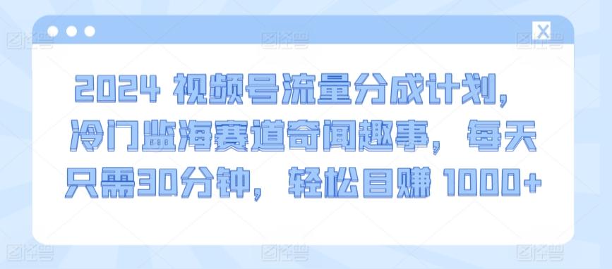 2024视频号流量分成计划，冷门监海赛道奇闻趣事，每天只需30分钟，轻松目赚 1000+【揭秘】-秋鱼网创