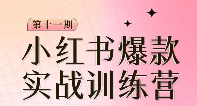 小红书博主爆款训练营第11期,手把手教你从0-1做小红书,从定位到起号到变现