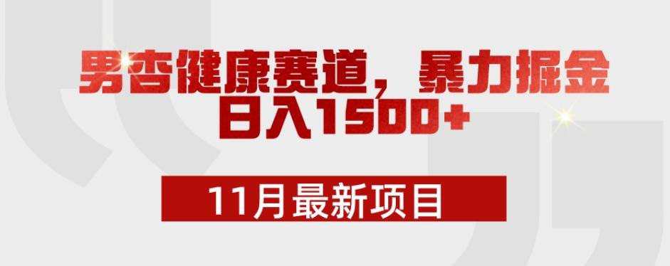 11月最新项目，男杏健康赛道，暴力掘金，日入1500+-秋鱼网创