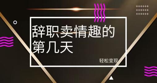 冷门赛道，辞职卖情趣的第几天，超暴力项目-秋鱼网创