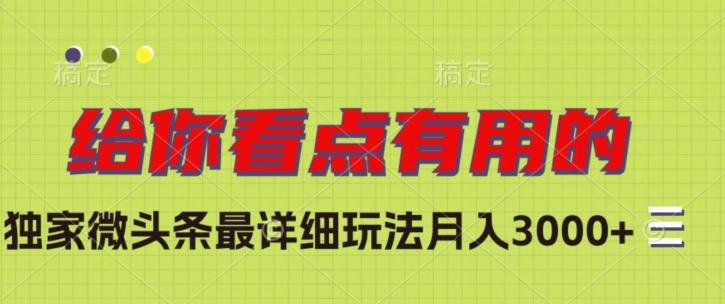 独家微头条最详细玩法，月入3000+【揭秘】-秋鱼网创