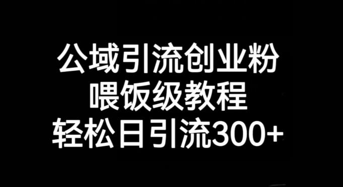公域引流创业粉，喂饭级教程，轻松日引流300+【揭秘】-秋鱼网创