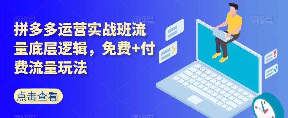 拼多多运营实战班流量底层逻辑，免费+付费流量玩法-秋鱼网创