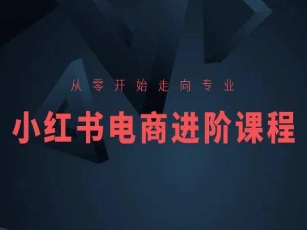 从零开始走向专业,小红书电商进阶课程
