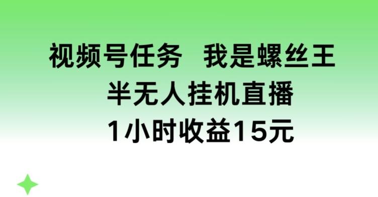 视频号任务，我是螺丝王， 半无人挂机1小时收益15元【揭秘】-秋鱼网创