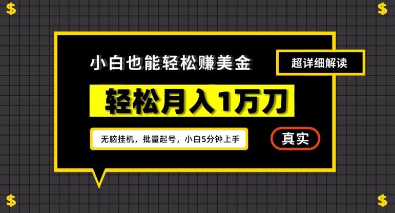 谷歌看广告撸美金2.0，无脑挂机，多号操作，月入1万刀【揭秘】-秋鱼网创