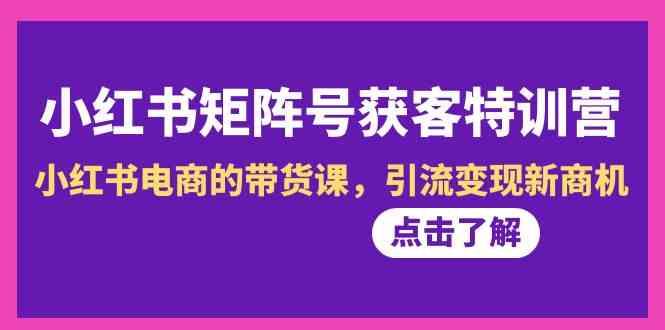 小红书矩阵号获客特训营-第10期，小红书电商的带货课，引流变现新商机-秋鱼网创