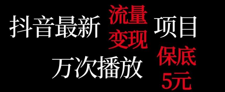 抖音流量变现，万次播放保底5元，额外收入-秋鱼网创