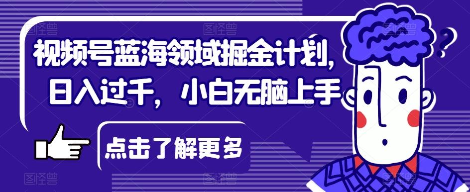 视频号蓝海领域掘金计划，日入过千，小白无脑上手【揭秘】-秋鱼网创