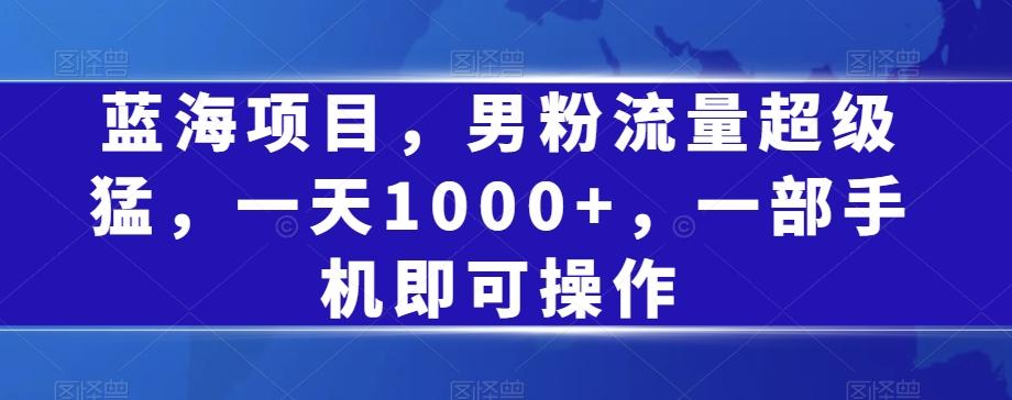 蓝海项目，男粉流量超级猛，一天1000+，一部手机即可操作【揭秘】-秋鱼网创