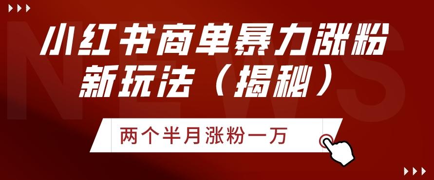 小红书商单暴力涨粉新玩法两个半月涨粉一万（揭秘）-秋鱼网创