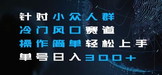 针对小众人群冷门风口赛道，操作简单轻松上手单号日入300+-秋鱼网创