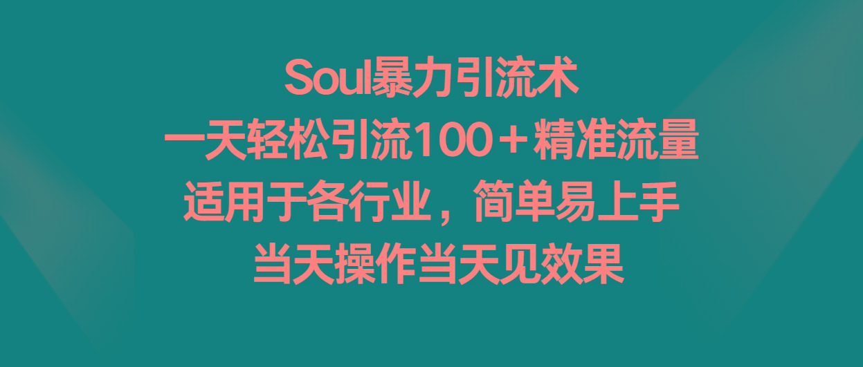 Soul暴力引流术，一天轻松引流100＋精准流量，适用于各行业，简单易上手！-秋鱼网创