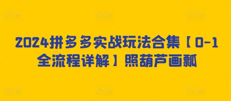 2024拼多多实战玩法合集【0-1全流程详解】照葫芦画瓢-秋鱼网创