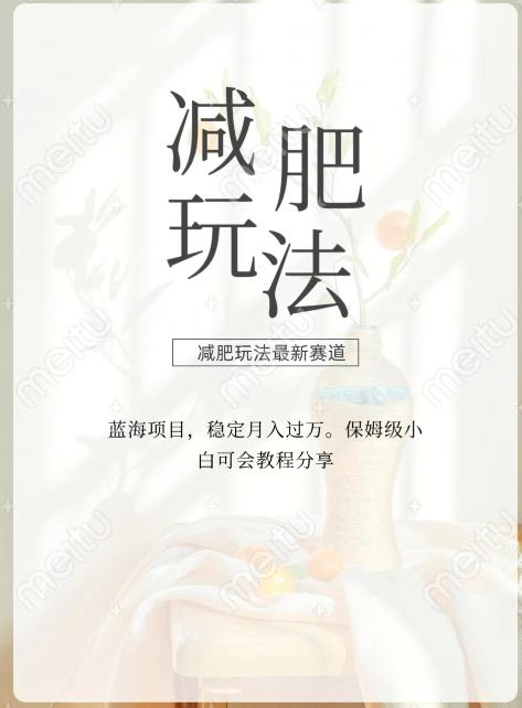 减肥流量主新玩法，轻松月入1W，可矩阵操作收入翻倍-秋鱼网创