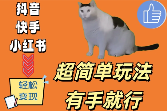 超简单玩法，有手就行，靠猫咪视频日入500+【揭秘】-秋鱼网创