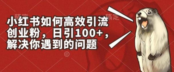 小红书如何高效引流创业粉，日引100+，解决你遇到的问题【揭秘】-秋鱼网创