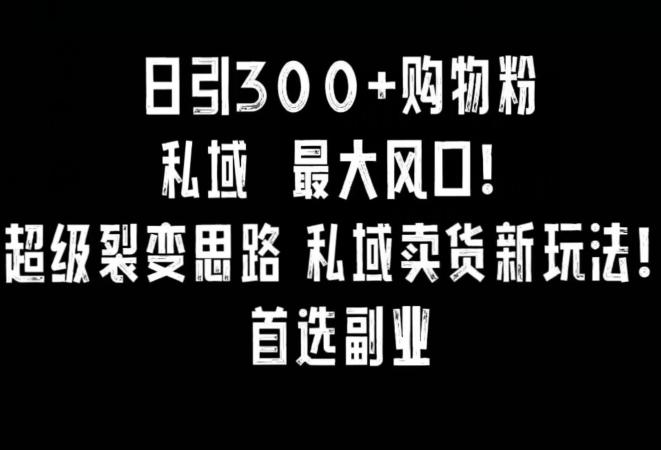 日引300+购物粉，超级裂变思路，私域卖货新玩法，小红书首选副业【揭秘】-秋鱼网创