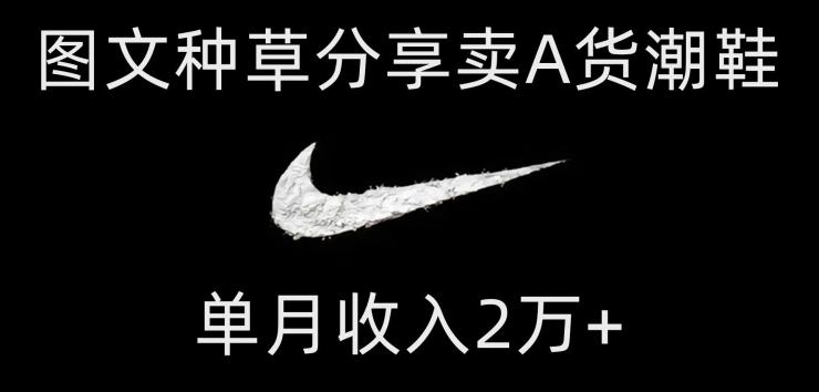 靠图文种草分享卖A货潮鞋，每天一小时，单月收入2万+【揭秘】-秋鱼网创