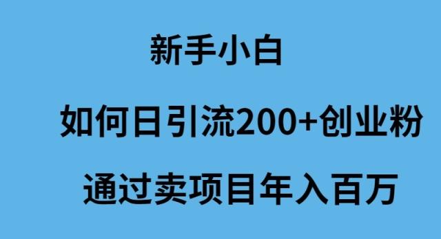 (9668期)新手小白如何日引流200+创业粉通过卖项目年入百万-秋鱼网创