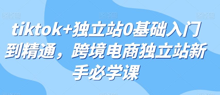 tiktok+独立站0基础入门到精通，跨境电商独立站新手必学课-秋鱼网创