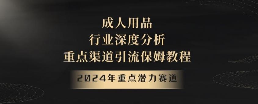 2024年重点潜力赛道，成人用品行业深度分析，重点渠道引流保姆教程【揭秘】-秋鱼网创
