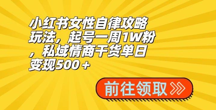 小红书女性自律攻略玩法，起号一周1W粉，私域情商干货单日变现500＋-秋鱼网创