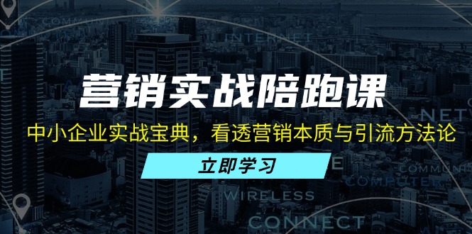 营销实战陪跑课：中小企业实战宝典，看透营销本质与引流方法论-秋鱼网创