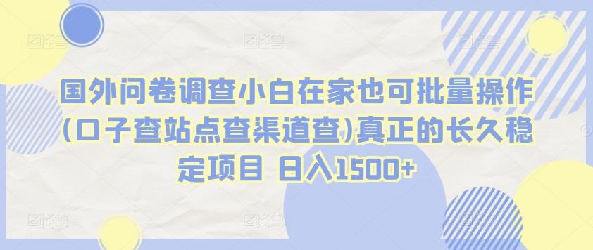 国外问卷调查小白在家也可批量操作(口子查站点查渠道查)真正的长久稳定项目 日入1500+【揭秘】-秋鱼网创
