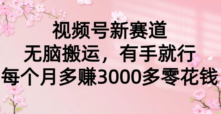 (9278期)视频号新赛道，无脑搬运，有手就行，每个月多赚3000多零花钱-秋鱼网创