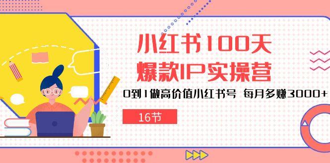 小红书100天-爆款IP实操营，0到1做高价值小红书号 每月多赚3000+(16节-秋鱼网创