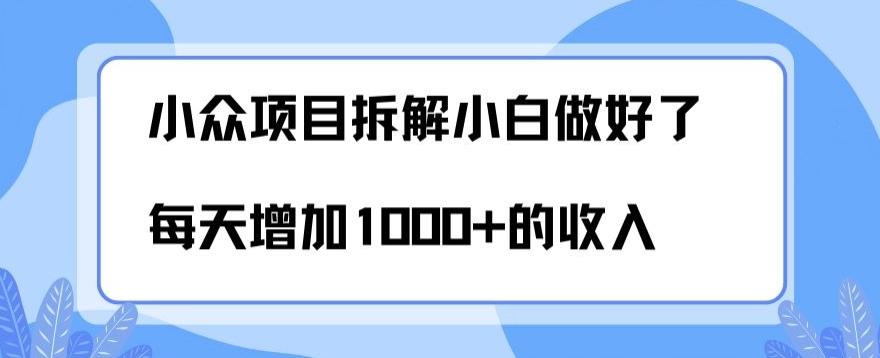 小众项目拆解，小白做好了每天可增加1000多的收入-秋鱼网创