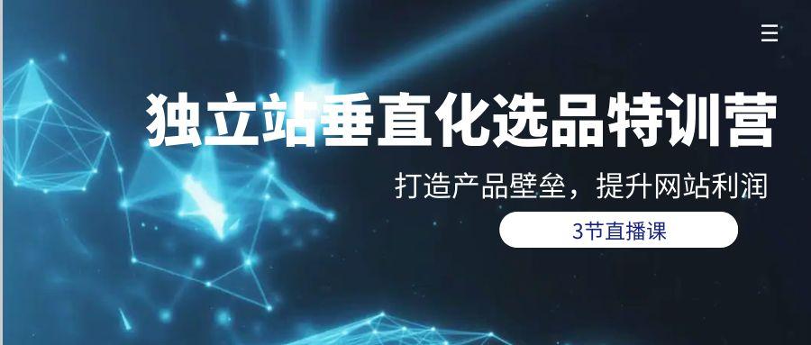 (9925期)独立站-垂直化选品训练营，打造产品壁垒，提升网站利润(3节直播课)-秋鱼网创