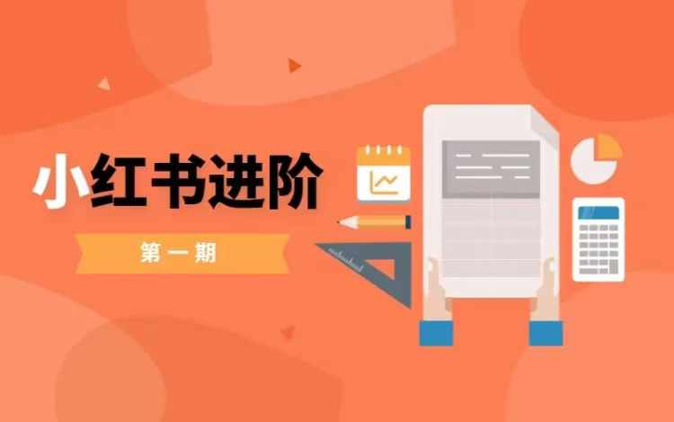 小红书进阶篇，零基础小白实战课，普通人变现的课程-秋鱼网创