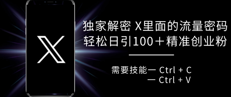独家解密 X 里面的流量密码，复制粘贴轻松日引100+-秋鱼网创