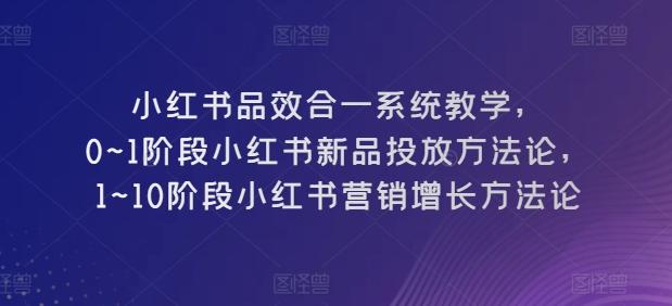 小红书品效合一系统教学，​0~1阶段小红书新品投放方法论，​1~10阶段小红书营销增长方法论-秋鱼网创