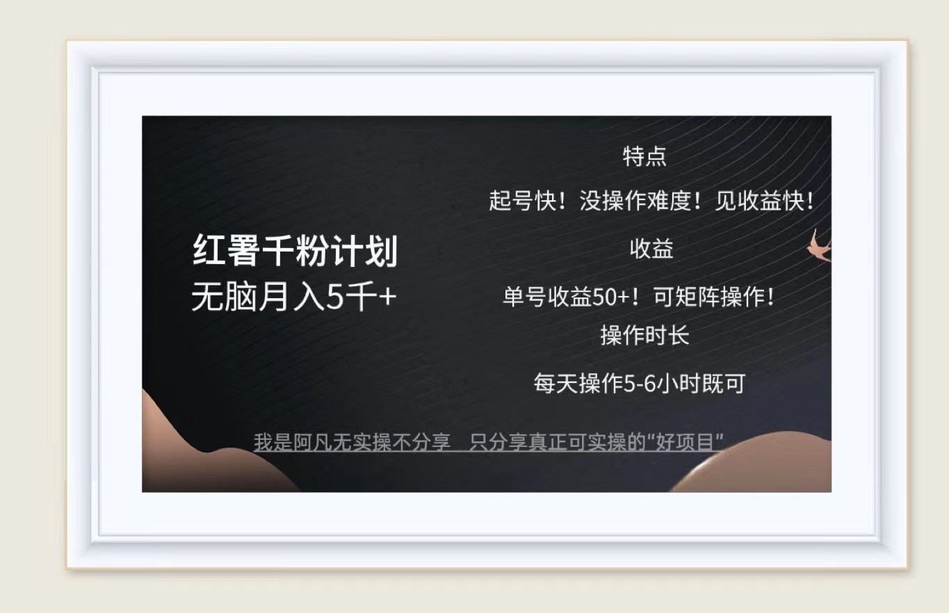 红薯千粉计划无脑月入5千+！既做既赚！-秋鱼网创