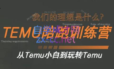 苗苗·拼多多跨境（temu）课程-秋鱼网创