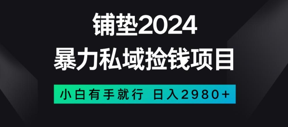暴力私域捡钱项目，小白无脑操作，日入2980【揭秘】-秋鱼网创