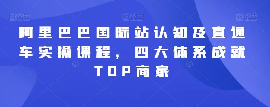 阿里巴巴国际站认知及直通车实操课程，四大体系成就TOP商家-秋鱼网创