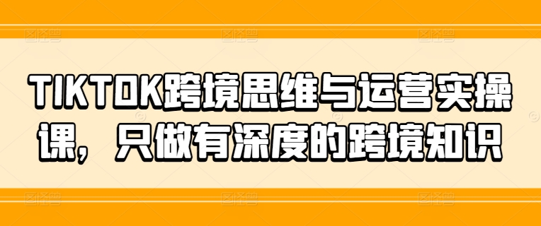 TIKTOK跨境思维与运营实操课，只做有深度的跨境知识-秋鱼网创